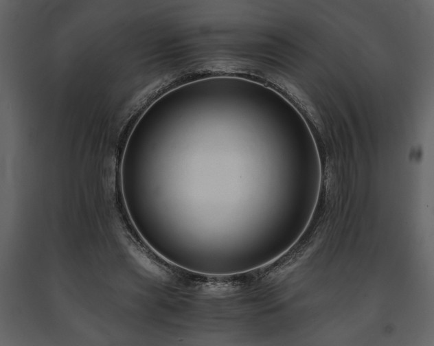 X0000091680445200708231421