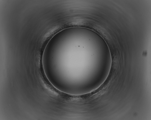 X0000091680446200708231421