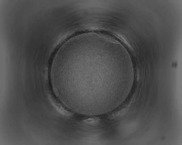 X0000091680447200708231421