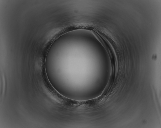 X0000091680448200708231421