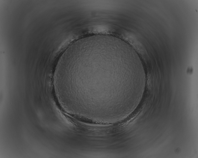 X0000091680449200708231421