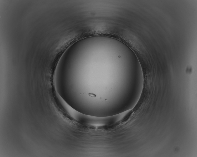 X0000091680450200708231421