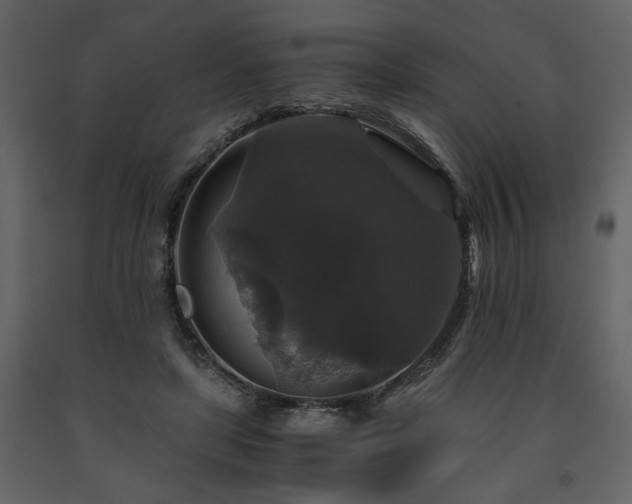 X0000091680451200708231421