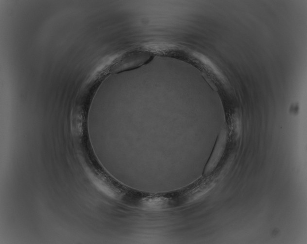 X0000091680452200708231421