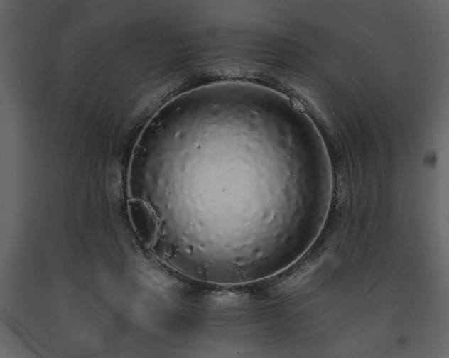 X0000091680453200708231421