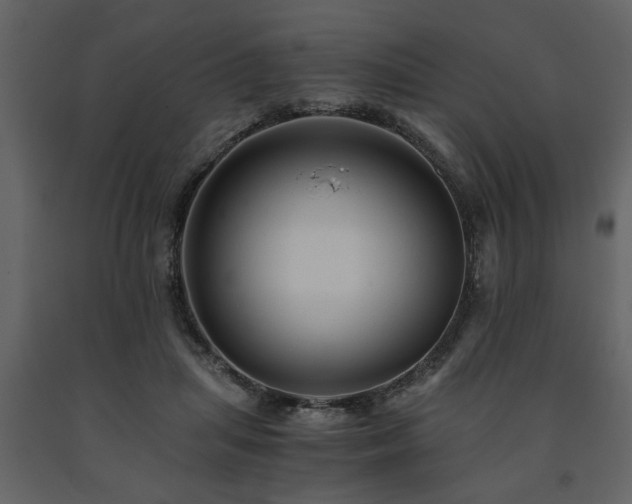 X0000091680455200708231421