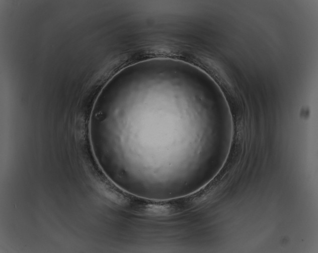 X0000091680457200708231421
