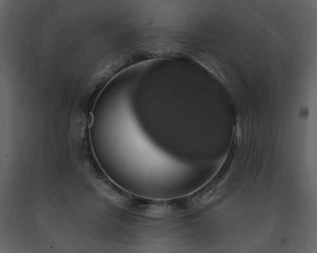 X0000091680458200708231421