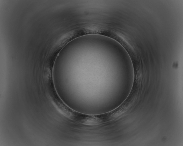 X0000091680459200708231421