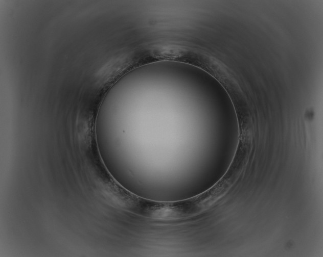 X0000091680460200708231421