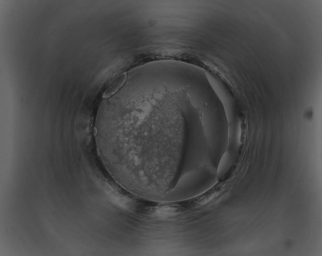 X0000091680462200708231421