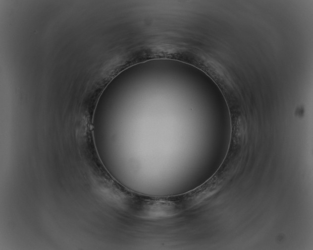 X0000091680463200708231421