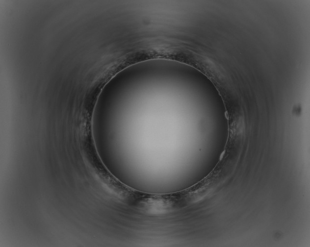 X0000091680464200708231421