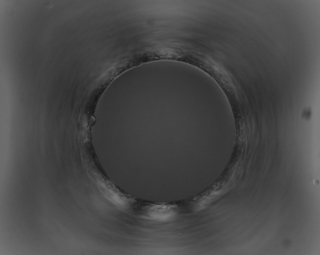 X0000091680465200708231421