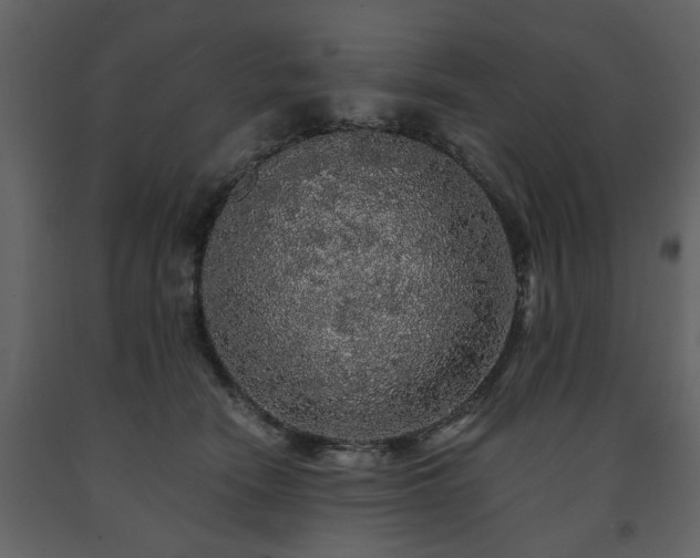 X0000091680466200708231421