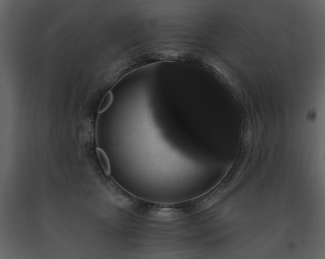 X0000091680467200708231421