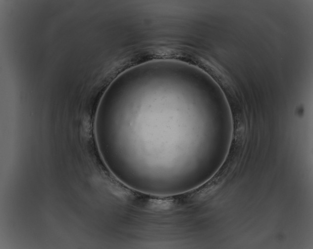 X0000091680469200708231421