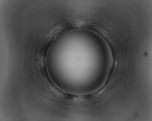 X0000091680470200708231421