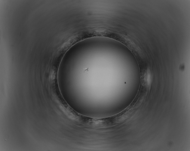 X0000091680472200708231421