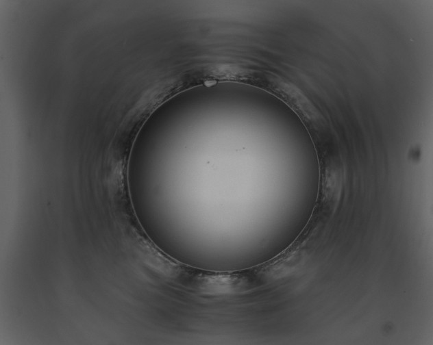 X0000091680473200708231421