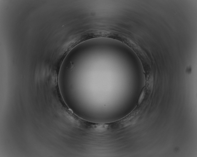 X0000091680474200708231421