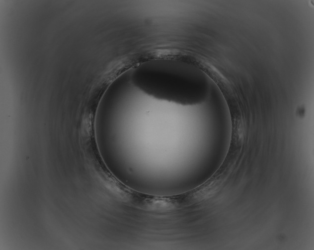 X0000091680475200708231421