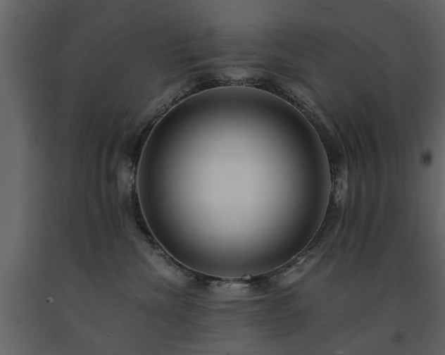 X0000091680476200708231421