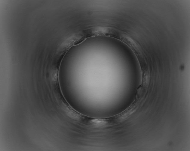 X0000091680477200708231421