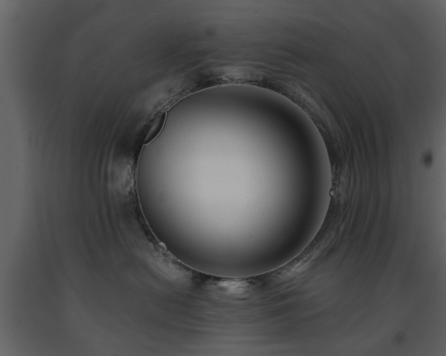 X0000091680478200708231421