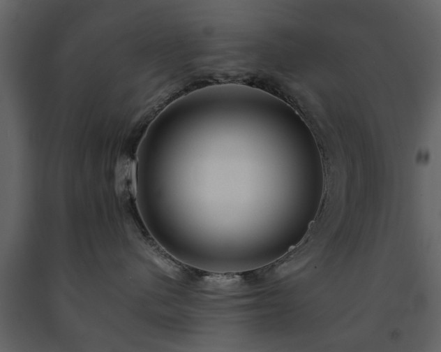 X0000091680480200708231421