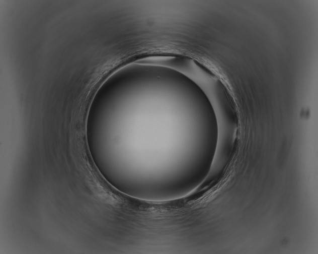 X0000091680481200708231420