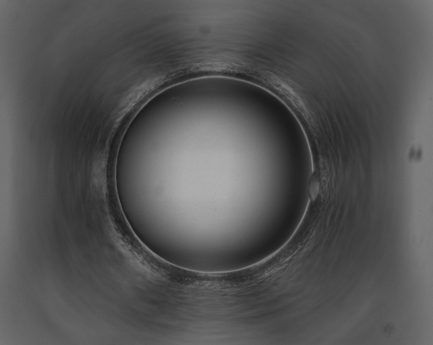 X0000091680482200708231420