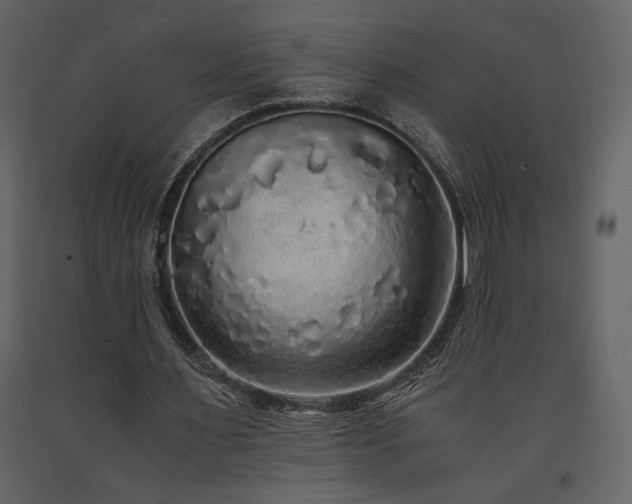 X0000091680483200708231420