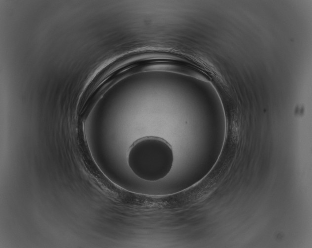 X0000091680484200708231420
