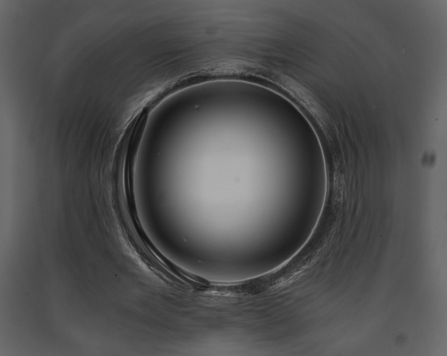 X0000091680485200708231420