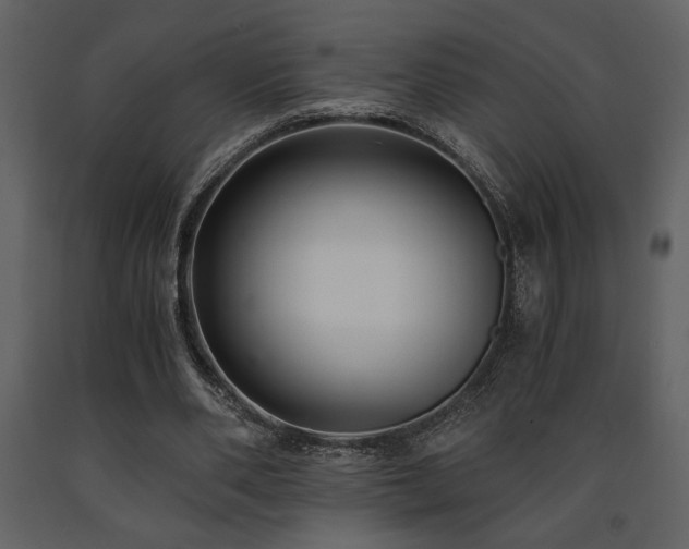 X0000091680486200708231420