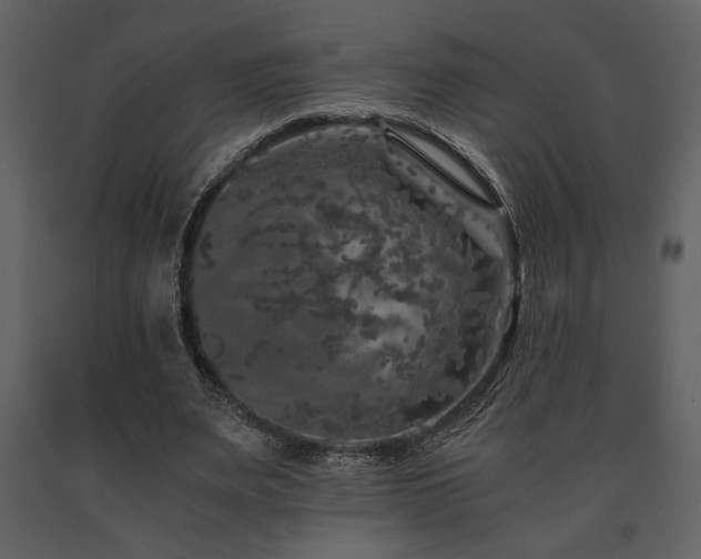 X0000091680487200708231420