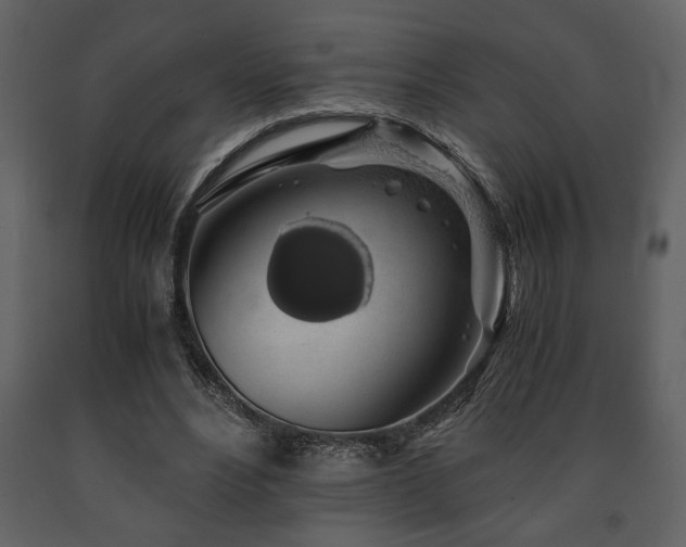 X0000091680488200708231420