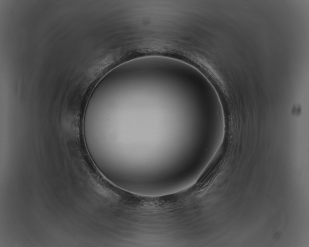 X0000091680489200708231420