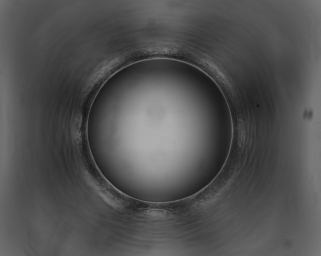 X0000091680490200708231420