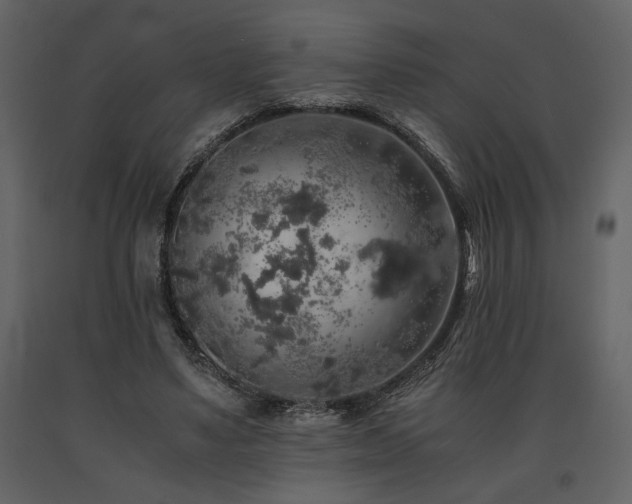 X0000091680491200708231420