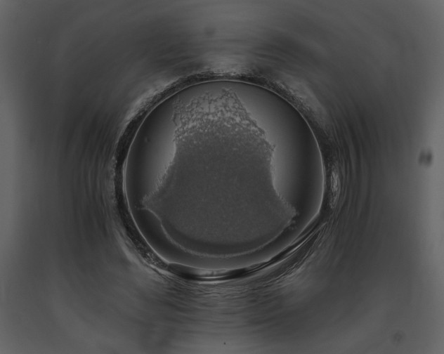 X0000091680492200708231420