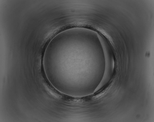 X0000091680493200708231420