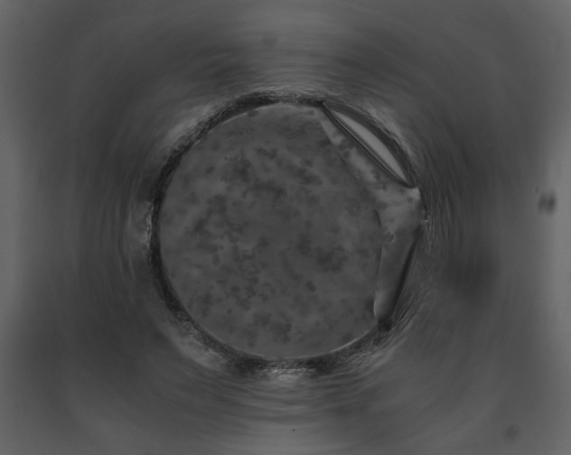 X0000091680495200708231420