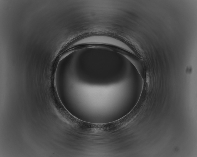 X0000091680496200708231420