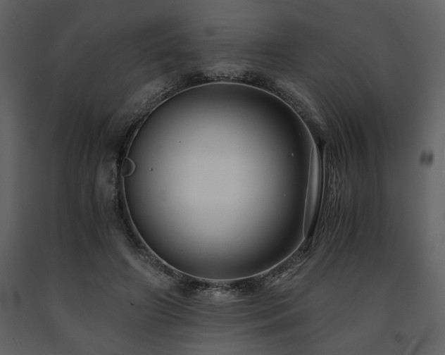 X0000091680498200708231420