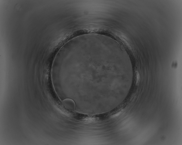 X0000091680499200708231420