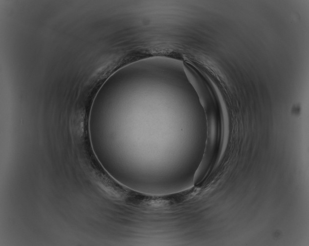 X0000091680501200708231420
