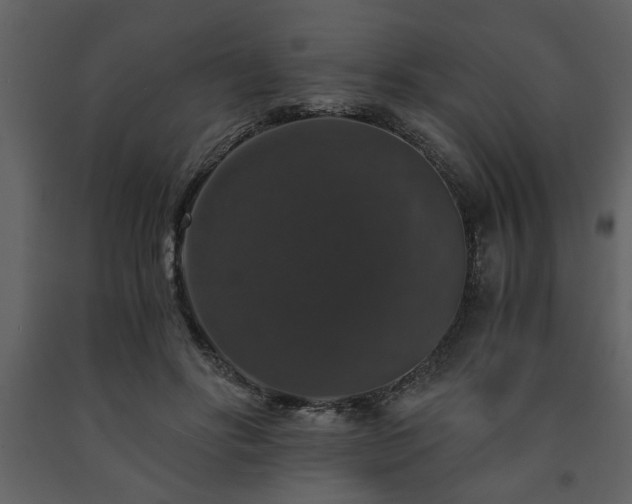 X0000091680502200708231420