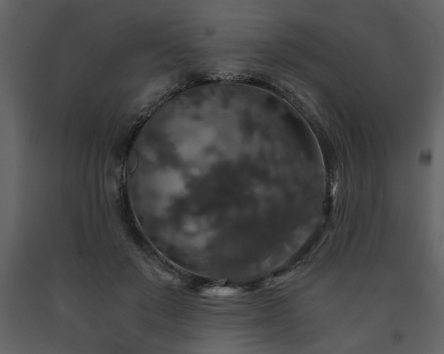 X0000091680503200708231420